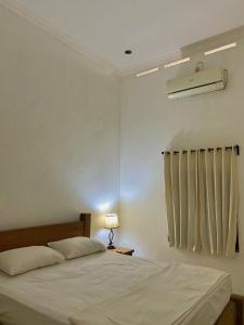 The Collony House of Baciro