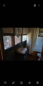 MASCHWITZ , verde y luz