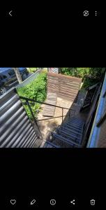 MASCHWITZ , verde y luz