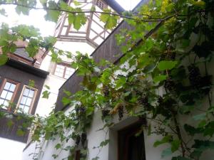3 star hotel Hotel Toscana Naumburg Duitsland