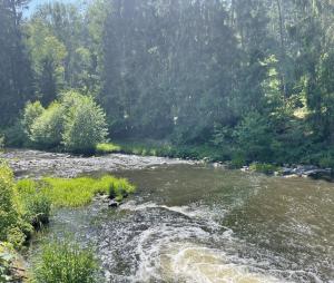 Quiet Anomaly Glamping Forest & Wellness Retreat Adults Only