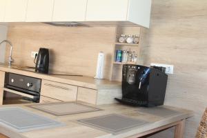 Holiday Terrace Nida