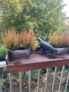 Spacious Room with private king bathroom