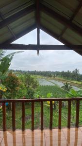 Rinjani Edelweis Homestay