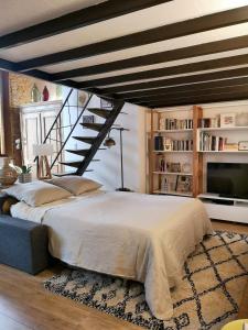 Authentic Loft with Mezzanine & Exposed Stones Heart of Lyon