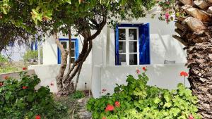 Julias Seaside Apartment, Leivadakia Serifos