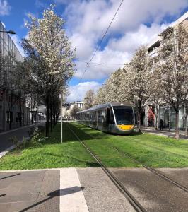 Élégant T2 au calme