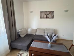 Pine forest apartments