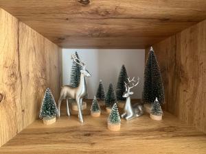 Pine forest apartments