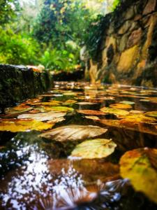 Agriturismo Tuluschene img23