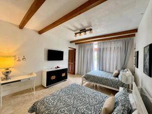 Luxurious Punta Cana Villa with Private Pool Beach Access