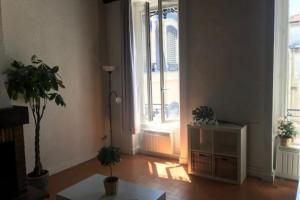 Le petit Emile Zola - Studio near bellecour