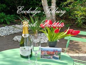 Directors room Swimmingpool Ecolodge Tilburg