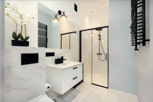 Roomy apartment Łobzowska Street