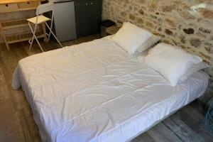 Studio with exposed stone Vieux Lyon