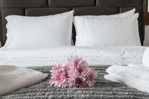 Snow Chalets Parnassos