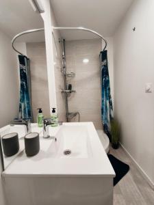 Grand Studio Lumineux Proche Centre-Ville