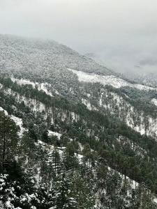 4U homes, Ramgarh, Mukteshwar- A Little Cabin, A Lot of Calm