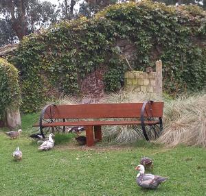 Casa Quinta El Zorzal
