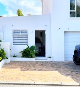 Spekboom in West Beach