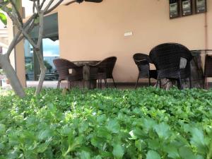 Marina Oriental Hotel