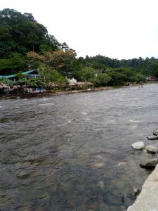 Tiga dara guest house jungle trekking