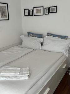 Luminoso trilocale Affori Centro