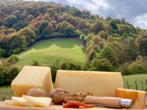 Apartamentos Zabalarena Basoa