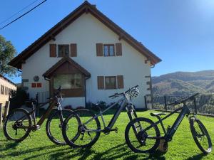 Apartamentos Zabalarena Basoa