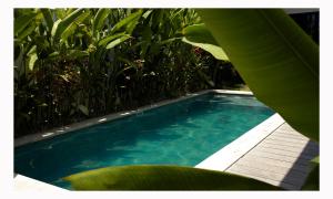 The Laut Bali- Design Villa Rice Field View Pool