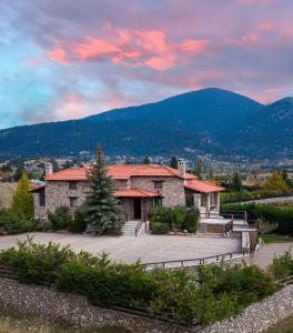 Chalet Panorama -Three Level Escape in Parnassos