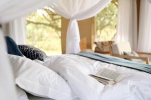 Tambarare Camp, an A&K Sanctuary