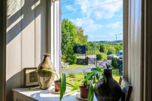 Picton House Exclusive Christmas