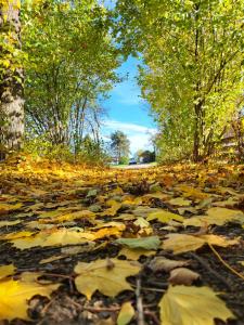 Ubytování Na Hradečku