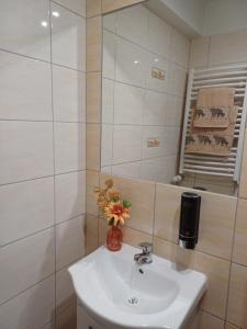 Apartament JELONKOWO - z bezpłatnymi ROWERAMI, CHŁODNY całe lato!