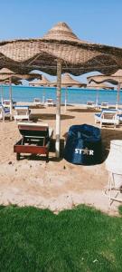 كازابلانكا ستار