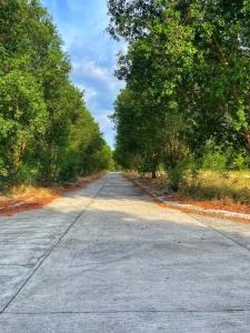 Breezynest in Island Front -by Darysen