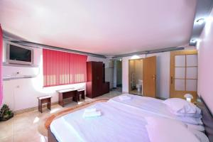 Casa Delia Vatra Dornei