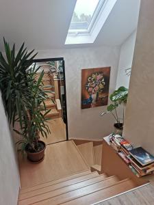 Schmetterling Zimmer