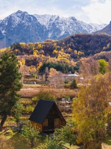 Forest view kazbegi