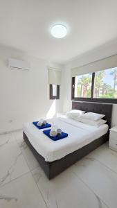 Pool Citylux Apartment