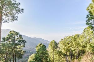 Exotic Stays Kasauli I The Western Heights I Serviced Apartments I Pvt Balcony I Peaceful Area I Family Accomodation I Kasauli