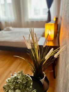 Avotu ApartHotel `self check-in`