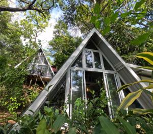 Tree Nature Resort