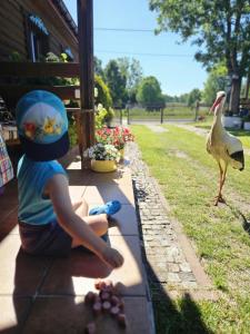 Błękitny Domek- dom i dwa oddzielne apartamenty