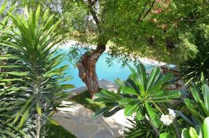 Villa Nika, between palm trees, beach and elephants