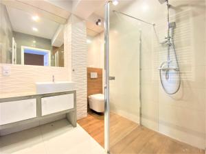 Apartament nad Kwisą Mountain Aparts