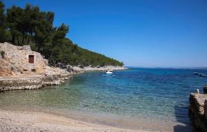 Pet Friendly Apartment In Hvar