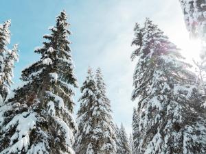 Appartement cosy pour 2 avec Wifi à Samoëns - FR-1-846-27