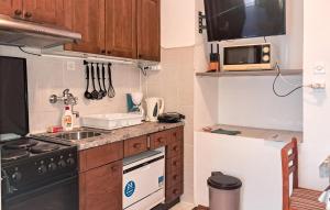 1 Bedroom Awesome Apartment In Novi Vinodolski 